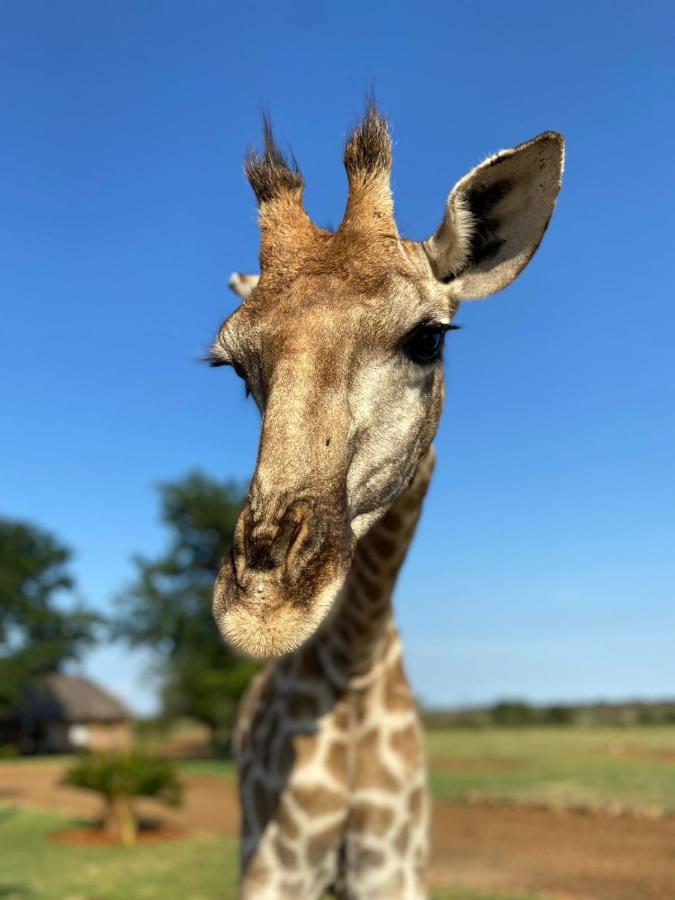 Morakane Safari Lodge Vryburg Zewnętrze zdjęcie